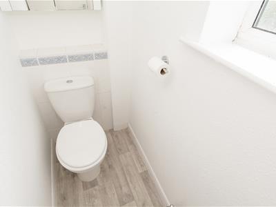 Picture 24